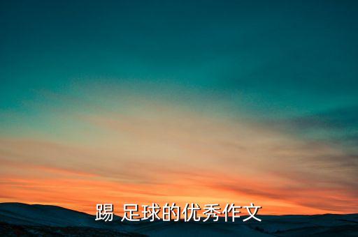 踢 足球的優(yōu)秀作文