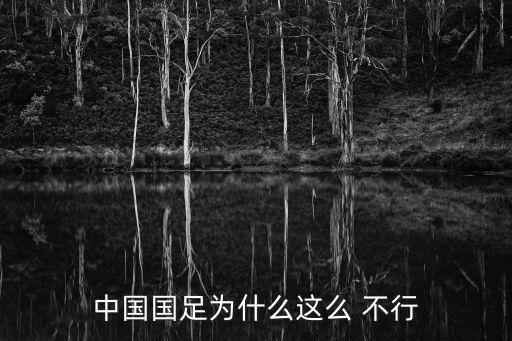 為什么中國(guó)足球隊(duì)不行,中國(guó)足球隊(duì)工資為什么這么高