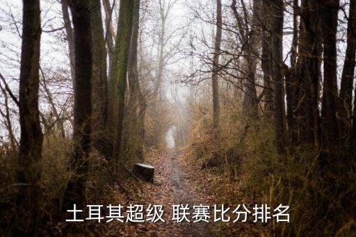土耳其超級 聯賽比分排名
