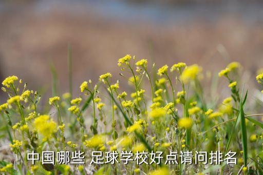 中國哪些 足球?qū)W校好點請問排名