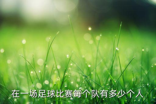 在一場足球比賽每個(gè)隊(duì)有多少個(gè)人