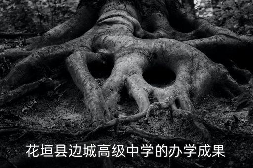 花垣縣邊城高級(jí)中學(xué)的辦學(xué)成果