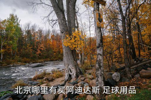 北京哪里有買(mǎi)阿迪達(dá)斯 足球用品