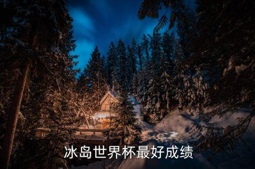 冰島世界杯最好成績