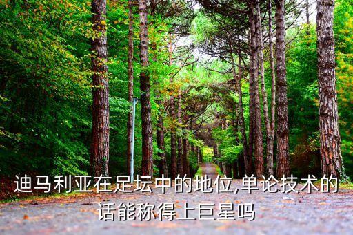 迪馬利亞在足壇中的地位,單論技術(shù)的話能稱得上巨星嗎