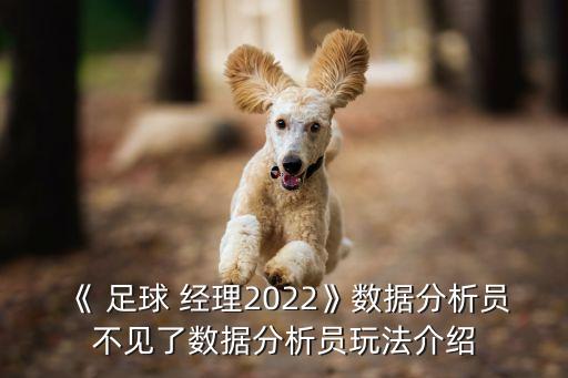 fm足球經理戰(zhàn)術大師