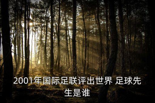 菲戈慈善足球,葡萄牙足球隊(duì)長(zhǎng) 菲戈