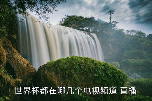 世界杯都在哪幾個(gè)電視頻道 直播