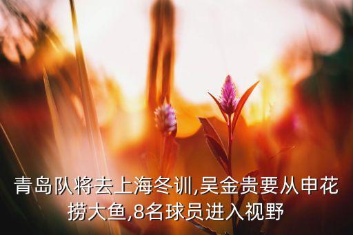青島隊將去上海冬訓(xùn),吳金貴要從申花撈大魚,8名球員進入視野