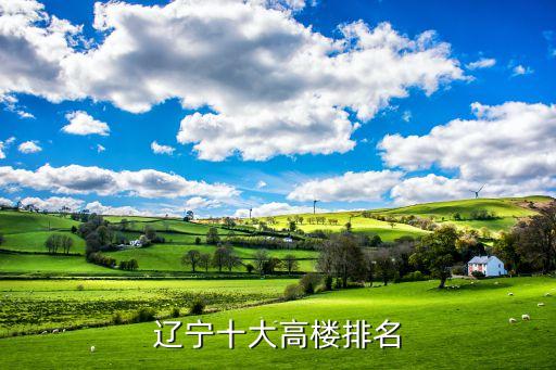 渾南足球大廈,沈陽渾南大廈都有哪些