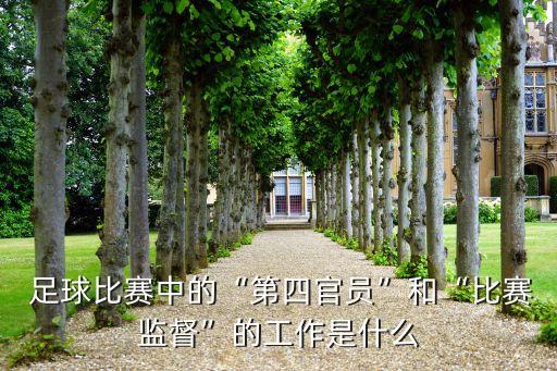 足球 裁判員報告,足球裁判員手勢大全及規(guī)則