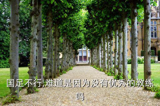 國(guó)足不行,難道是因?yàn)闆]有優(yōu)秀的教練嗎