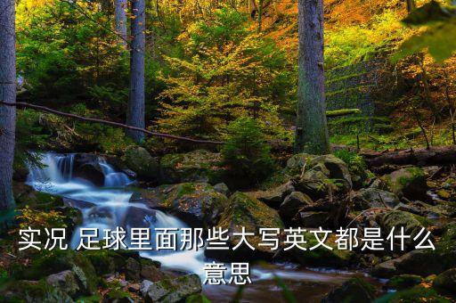 實(shí)況 足球里面那些大寫英文都是什么意思