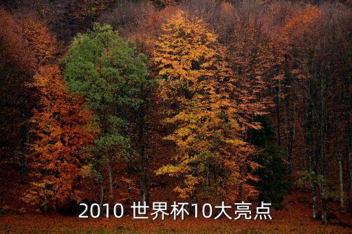2010 世界杯10大亮點