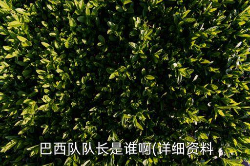  巴西隊(duì)隊(duì)長是誰啊(詳細(xì)資料