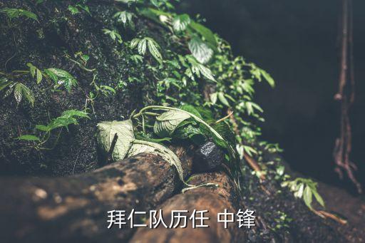 拜仁隊歷任 中鋒