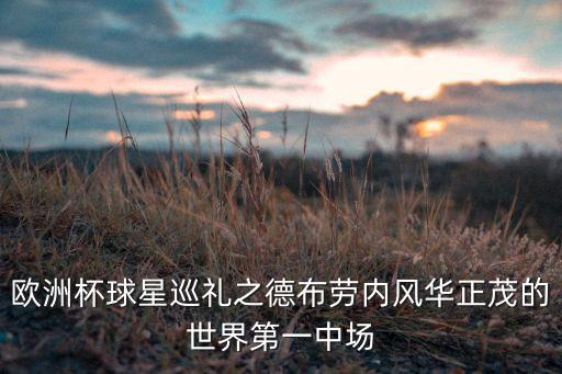 歐洲杯球星巡禮之德布勞內風華正茂的世界第一中場