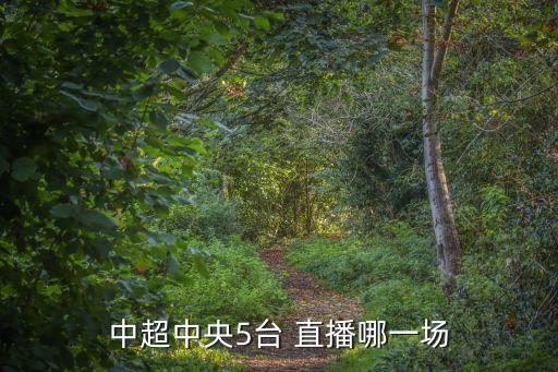中超中央5臺(tái) 直播哪一場(chǎng)