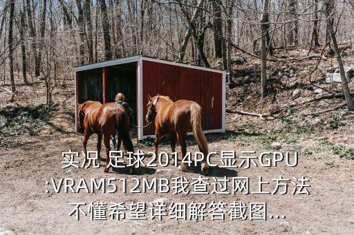  實(shí)況 足球2014PC顯示GPU:VRAM512MB我查過網(wǎng)上方法不懂希望詳細(xì)解答截圖...