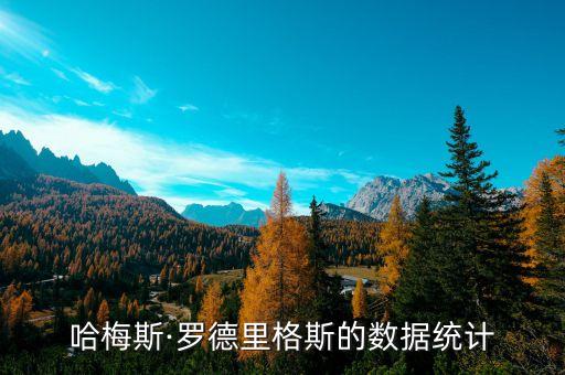 哈梅斯·羅德里格斯的數(shù)據統(tǒng)計
