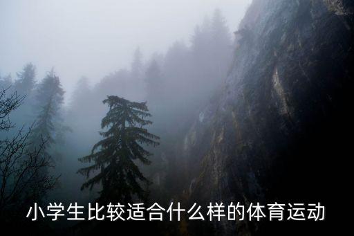 小學(xué)生比較適合什么樣的體育運(yùn)動(dòng)