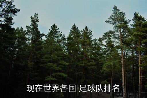 智利和西班牙哪個足球隊厲害,西班牙哪個足球隊最厲害
