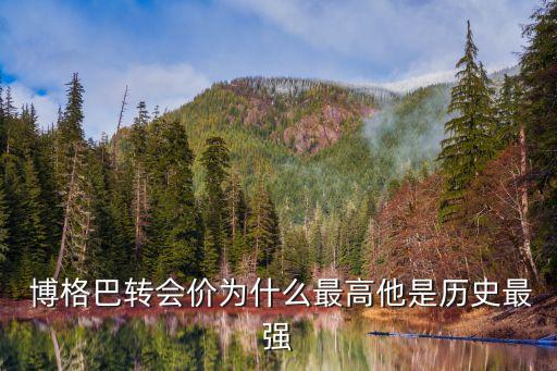  博格巴轉(zhuǎn)會(huì)價(jià)為什么最高他是歷史最強(qiáng)
