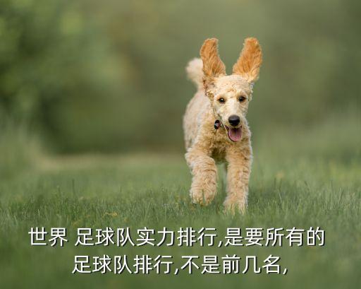 世界 足球隊實力排行,是要所有的 足球隊排行,不是前幾名,