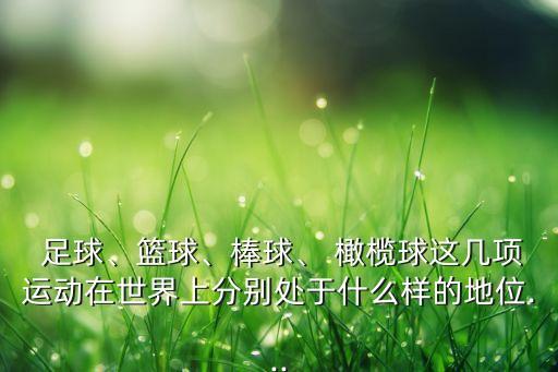  足球、籃球、棒球、 橄欖球這幾項(xiàng)運(yùn)動(dòng)在世界上分別處于什么樣的地位...