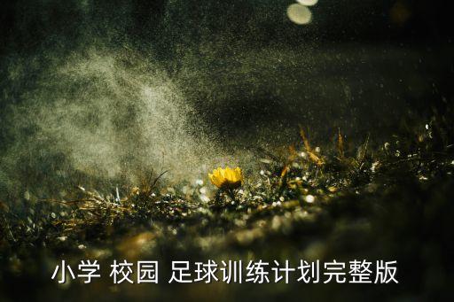 國家領(lǐng)導(dǎo)校園足球,河南省校園足球工作領(lǐng)導(dǎo)辦公室