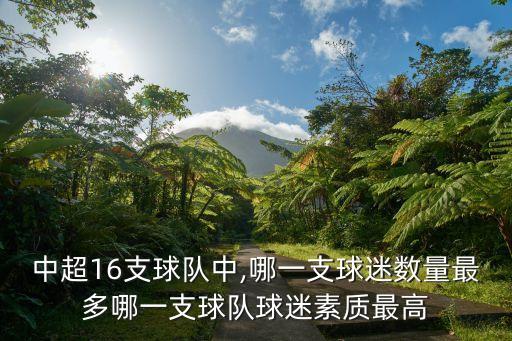 中國甲級聯(lián)賽足球強(qiáng)隊,澳大利亞甲級聯(lián)賽ds足球