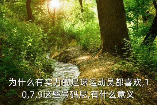 足球場(chǎng)9號(hào)