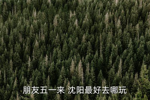 朋友五一來 沈陽(yáng)最好去哪玩
