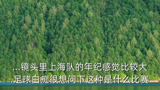 ...鏡頭里上海隊(duì)的年紀(jì)感覺比較大.足球白癡很想問下這種是什么比賽