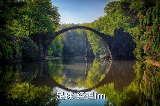 足球經理2017任意球戰(zhàn)術