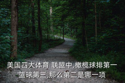美國(guó)四大體育 聯(lián)盟中,橄欖球排第一籃球第三,那么第二是哪一項(xiàng)