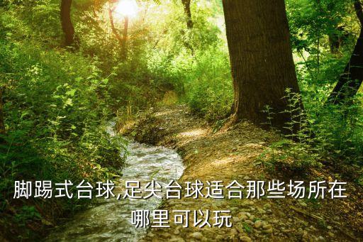 沈陽(yáng)小飛俠足球培訓(xùn),小飛俠足球運(yùn)動(dòng)員是誰(shuí)