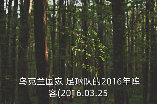  烏克蘭國家 足球隊(duì)的2016年陣容(2016.03.25