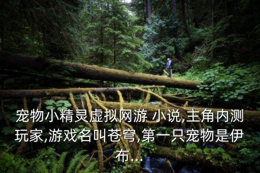 寵物小精靈虛擬網游 小說,主角內測玩家,游戲名叫蒼穹,第一只寵物是伊布...