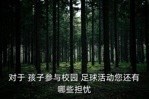 對(duì)于 孩子參與校園 足球活動(dòng)您還有哪些擔(dān)憂(yōu)