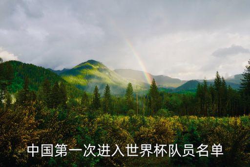 中國(guó)第一次進(jìn)入世界杯隊(duì)員名單