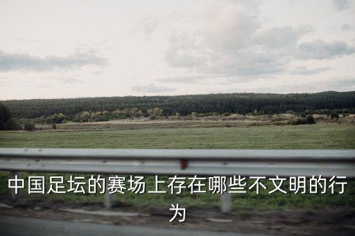 業(yè)余足球打架集錦