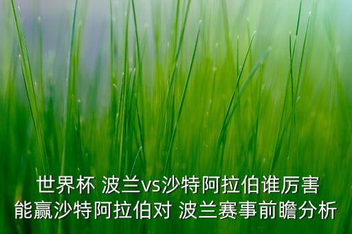  世界杯 波蘭vs沙特阿拉伯誰(shuí)厲害能贏沙特阿拉伯對(duì) 波蘭賽事前瞻分析
