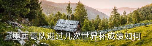  墨西哥隊(duì)進(jìn)過幾次世界杯成績?nèi)绾? class=