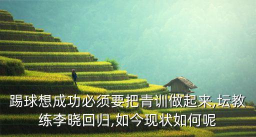 踢球想成功必須要把青訓(xùn)做起來,壇教練李曉回歸,如今現(xiàn)狀如何呢