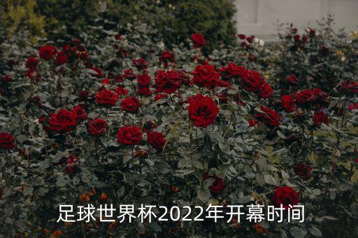  足球世界杯2022年開幕時間
