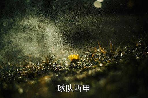2008西班牙足球,西班牙足球隊(duì)員名單