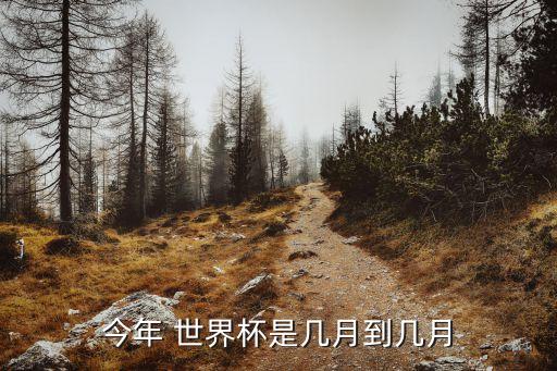 今年 世界杯是幾月到幾月