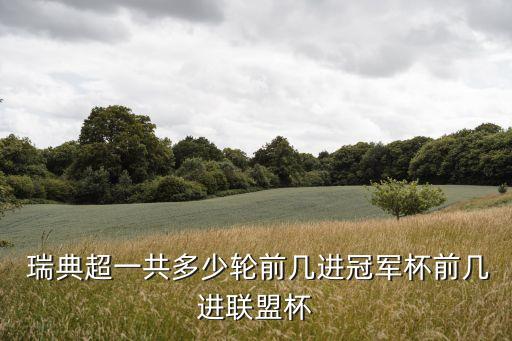  瑞典超一共多少輪前幾進冠軍杯前幾進聯(lián)盟杯