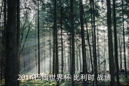 2014巴西世界杯 比利時(shí) 戰(zhàn)績